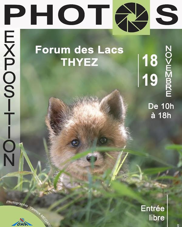 Expo photos